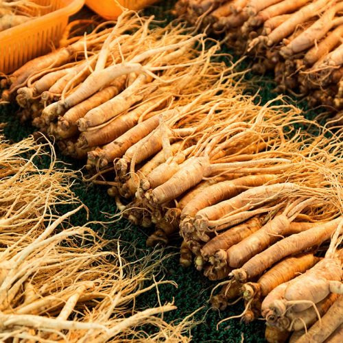 American-Ginseng-Featured-1.jpg