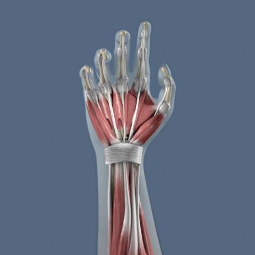 Ansell-Hero-image-640×480-1.png Ansell-Hero-image-640x480-1.png