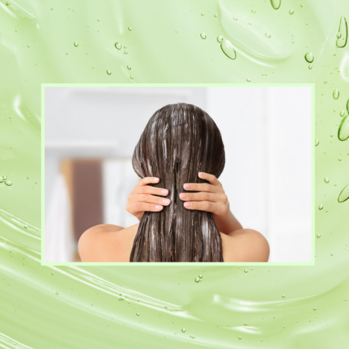 BLOG_Header_2_1024x1024.png