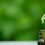 CBD-oral-health.jpg