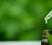 CBD-oral-health.jpg