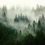 Carbon-Offset-Featured_AdobeStock_167720496.jpg