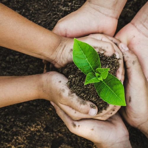 Climate-Change-and-Mental-Health-Featured.jpg Climate-Change-and-Mental-Health-Featured.jpg