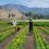EasternWashingtonFarmTrip2025_Featured.jpg