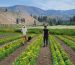 EasternWashingtonFarmTrip2025_Featured.jpg