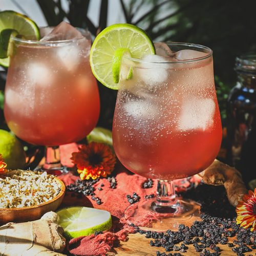 Edlerberry-Ginger-Mocktails-Featured.jpg Edlerberry-Ginger-Mocktails-Featured.jpg