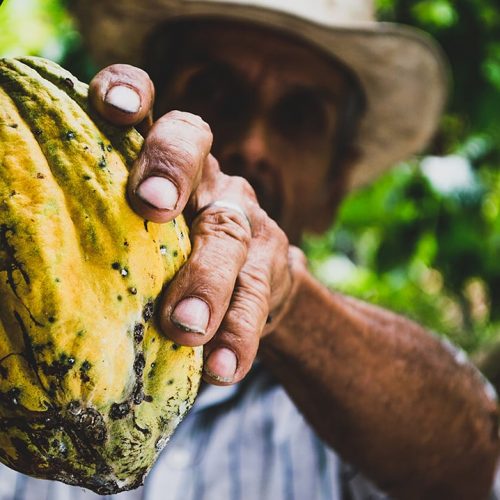 Fair-Trade-Premiums-Featured.jpg