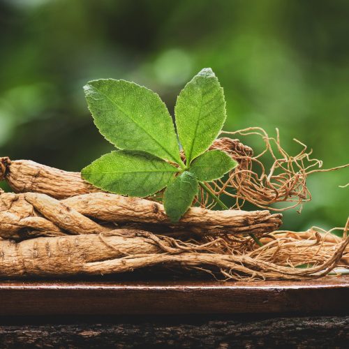 Ginseng-Root-and-Leaf.jpgkeepProtocol.jpeg Ginseng-Root-and-Leaf.jpgkeepProtocol.jpeg