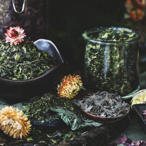 Guide-to-Seaweed-Featured.jpg