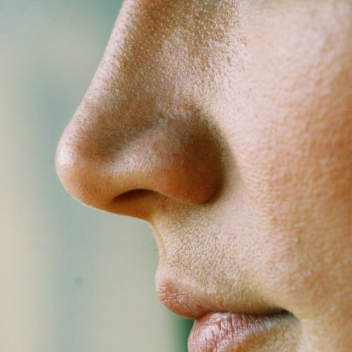 HP_nose_with_pores_f03150f1-7f12-4cb0-ad79-5cc1ae47ca11_1200x1200.jpg