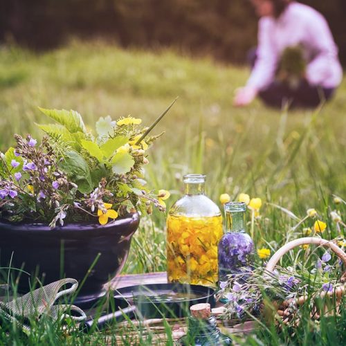 Herbal-Acessibility-Featured.jpg