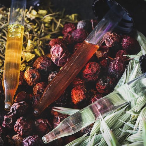 Herbal-Preparations-Featured.jpg Herbal-Preparations-Featured.jpg