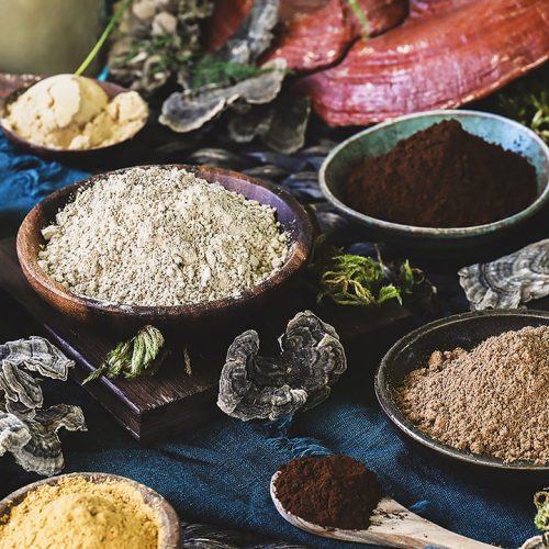 Mushroom-Extract-Powders-Featured.jpgkeepProtocol.jpeg