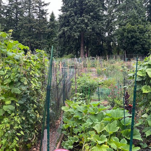 OR-Tilth-Feaatured.jpg