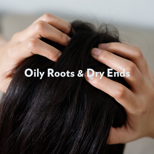 Oily-Roots-Dry-Ends-650×500-1.png Oily-Roots-Dry-Ends-650x500-1.png