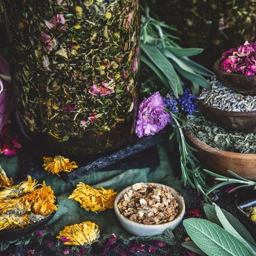 Queen-of-Hungary-Herbs-Featured.jpg Queen-of-Hungary-Herbs-Featured.jpg