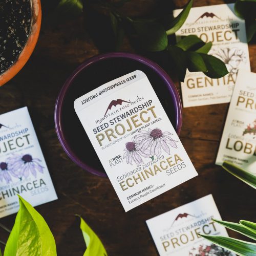SeedStewardshipProject_1.jpg SeedStewardshipProject_1.jpg