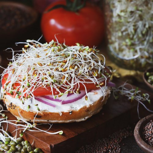 Sprouts-Horizontal.jpgkeepProtocol.jpeg
