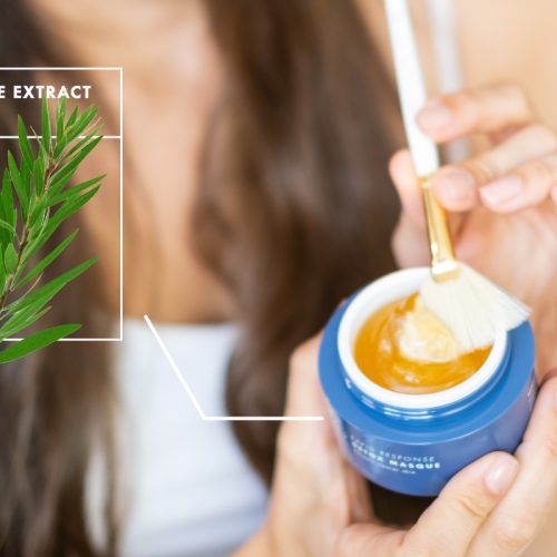 Tea-Tree-Blog-2.jpg Tea-Tree-Blog-2.jpg
