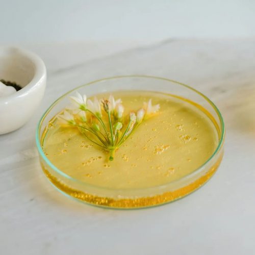 Thumbnail_-_100_Pure_Are_Natural_Organic_Ingredients_Better_for_Your_Skin_1200x1200.webp.jpeg Thumbnail_-_100_Pure_Are_Natural_Organic_Ingredients_Better_for_Your_Skin_1200x1200.webp.jpeg
