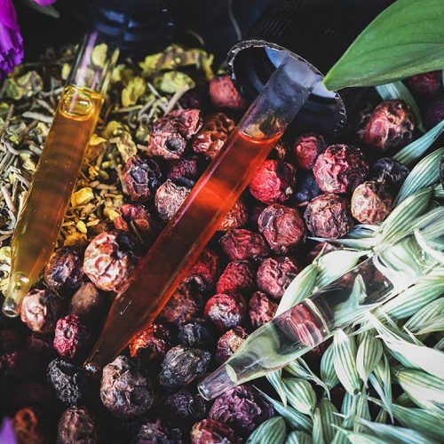 Tincture-vs-Spagyric-Featured.jpg Tincture-vs-Spagyric-Featured.jpg