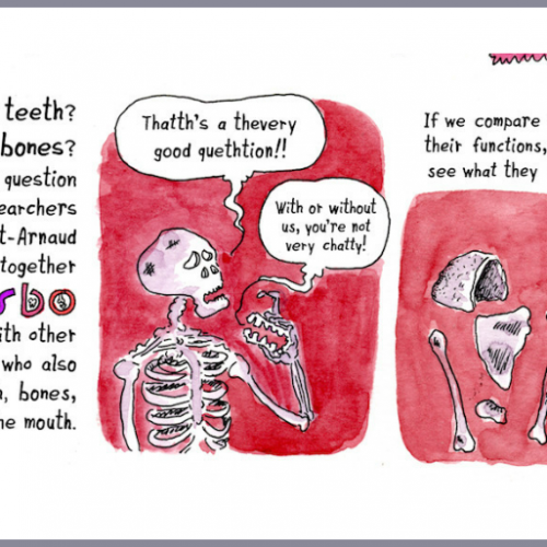 bones-teeth-new2.png bones-teeth-new2.png