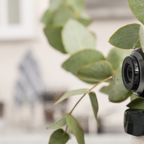 camera-hidden-1024×577.png camera-hidden-1024x577.png