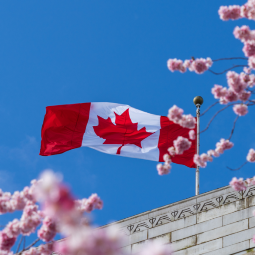 canada-and-oral-health-1024×577.png canada-and-oral-health-1024x577.png