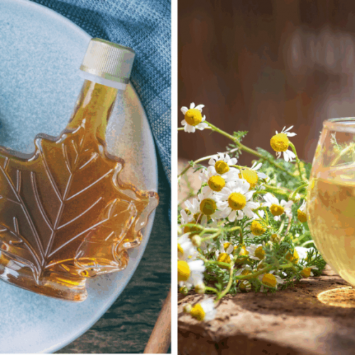chamomile-and-maple-have-anti-caries-power-1024x576.png