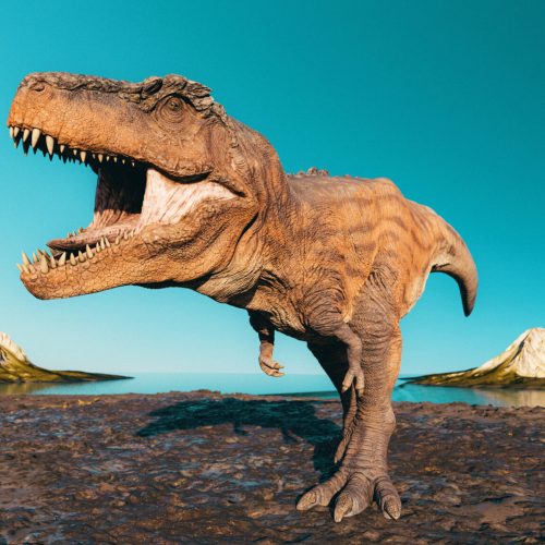 dino-oxygen.jpg dino-oxygen.jpg