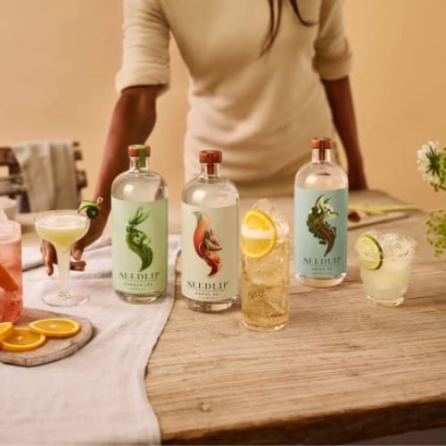 easy_mocktails_seedlip_non-alcoholic_spirits.jpg