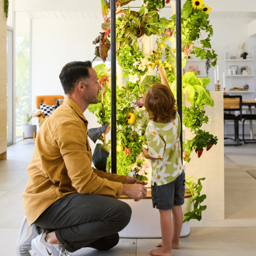 gardyn-indoor-garden-kit-1.png gardyn-indoor-garden-kit-1.png