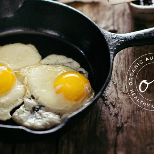 how-to-keep-eggs-from-sticking-fish_header-oa.jpg