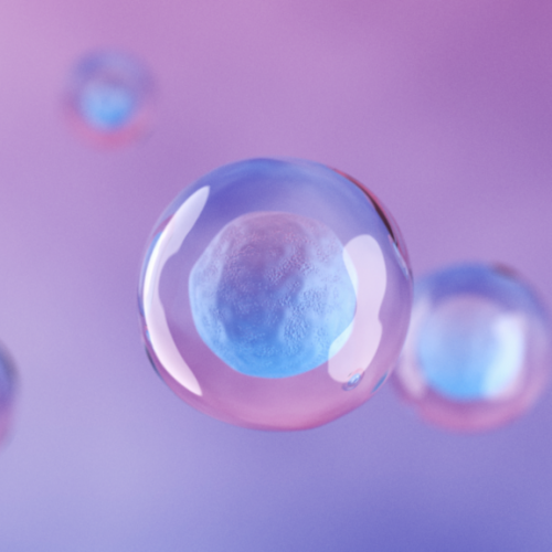 iStock-1276872321-1024x576.png