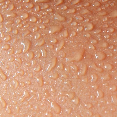 large-HP-Human_Skin_and_Sweat_1200x1200.jpg large-HP-Human_Skin_and_Sweat_1200x1200.jpg