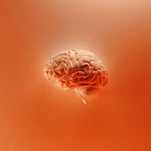 mental-fitness-orange-milad-fakurian-nsplsh-copy.jpg