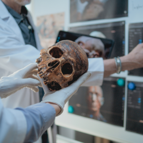 researchers-dental-1024×576.png researchers-dental-1024x576.png