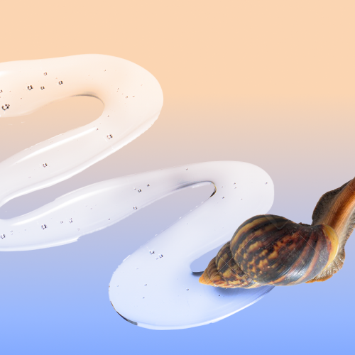 snail-mucin-img.png