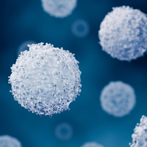 t-cells.jpg t-cells.jpg