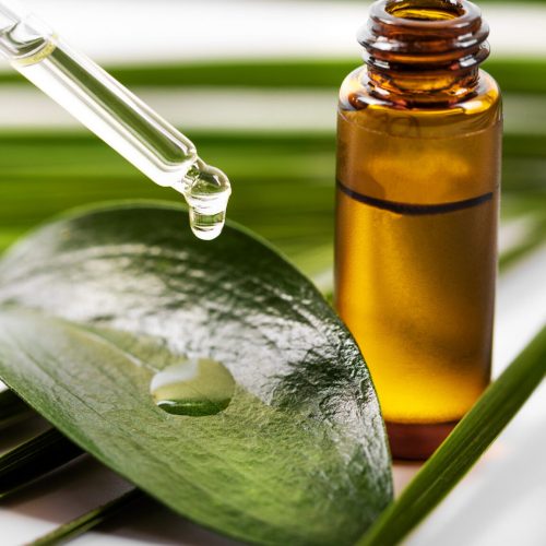 tea-tree-oil.jpg tea-tree-oil.jpg