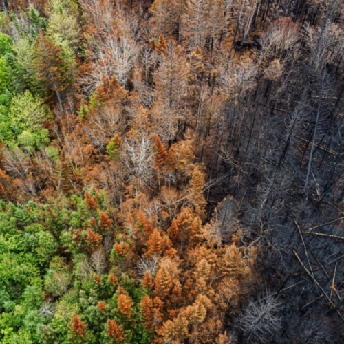 wildfire-climatechange-1024×576.png wildfire-climatechange-1024x576.png